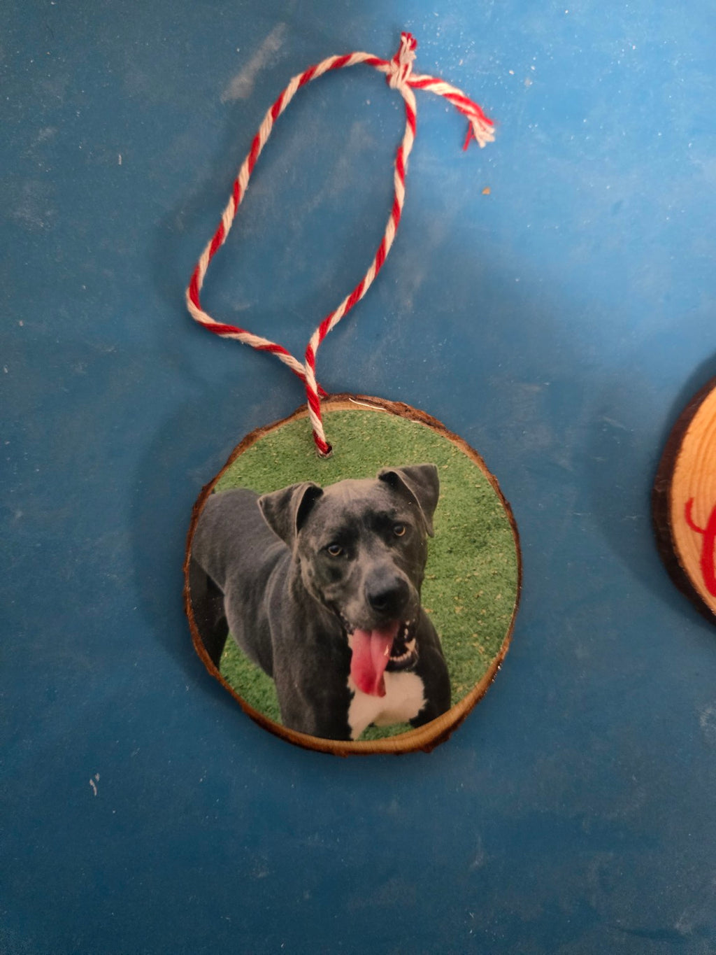 Personalized Memory Ornament — Your Photo, Your Memory ❤️🐾